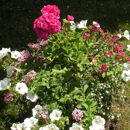 Al Calcandola Bed & Breakfast Sarzana