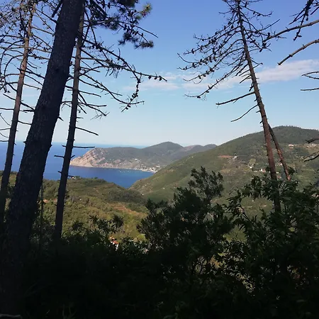 Al Calcandola B&B