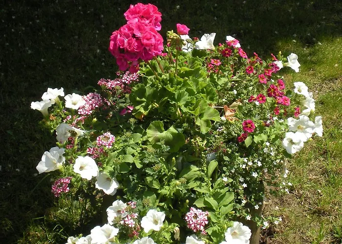 Al Calcandola Bed and Breakfast Sarzana