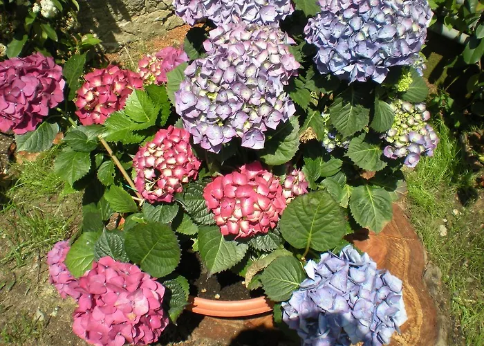 Al Calcandola Bed & Breakfast